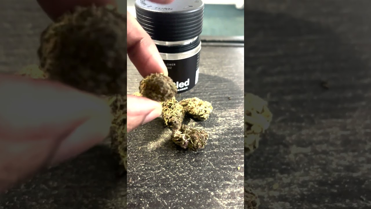 Untitled- Tropicana Cherries in Depth Review