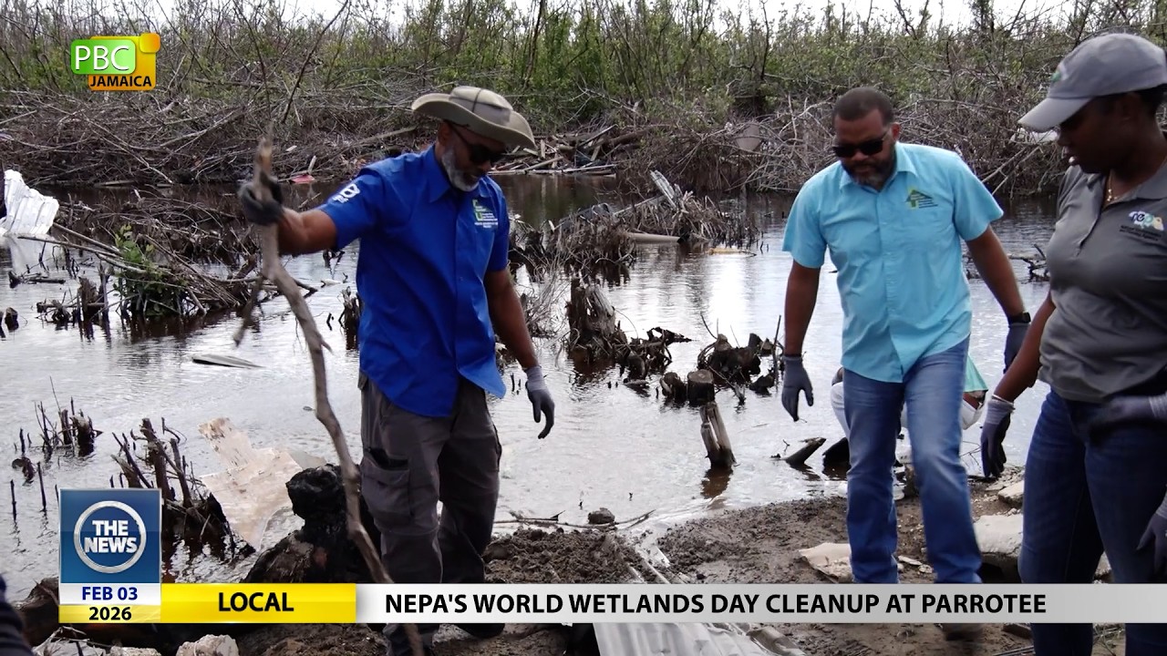 News Bite: NEPA's World Wetlands Day Cleanup at Parrotee