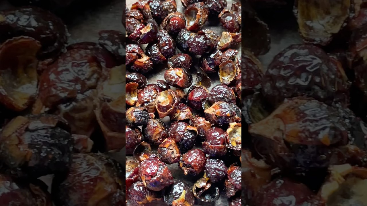 How to make natural, organic soap using soap nuts. #SoapNuts #OrganicSkincare #ChemicalFree