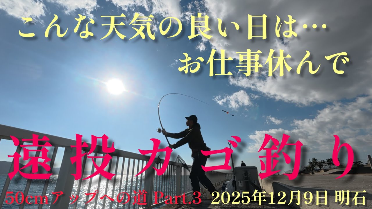  ナイスサイズのあの魚が…🐟️真鯛狙いの目指せ50cmオーバー Part.3