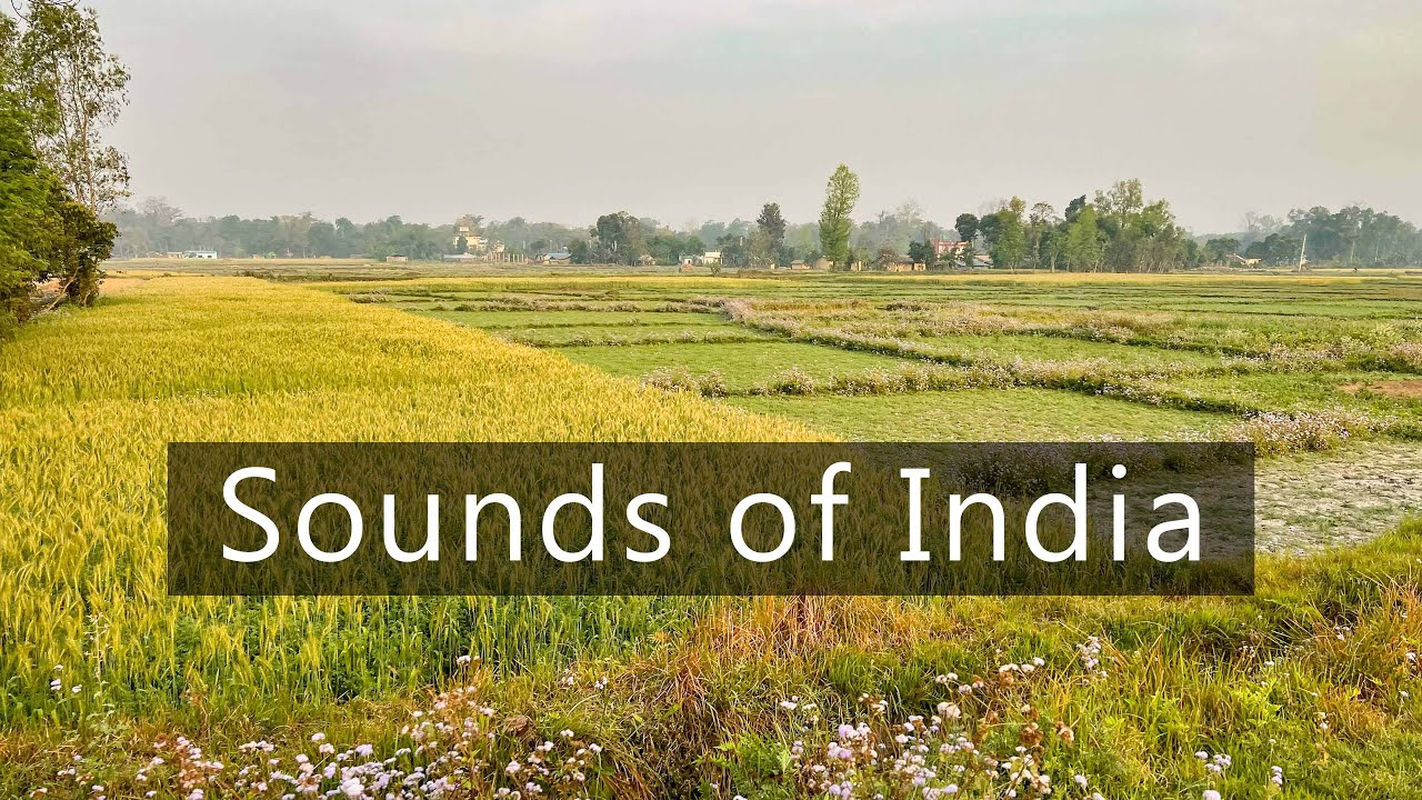 The sounds of the Indian countryside