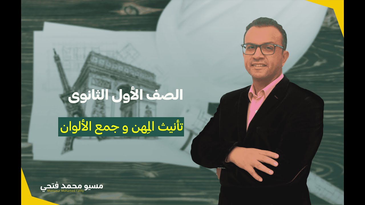 تأنيث المهن