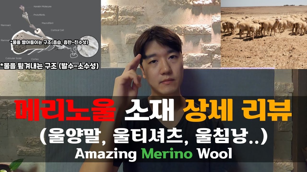 겨울 등산/운동 필수품 메리노울, 최고의 천연 기능성 소재 상세리뷰 울양말 리뷰하려다 만든 소재 제품리뷰【9】 Why do we wear Merino wool at summer?