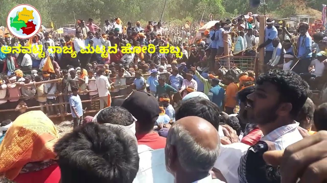 ಆನವಟ್ಟಿ ಹೋರಿ ಹಬ್ಬ | bull's race | hotti habba anavatti | anavatti hori habba