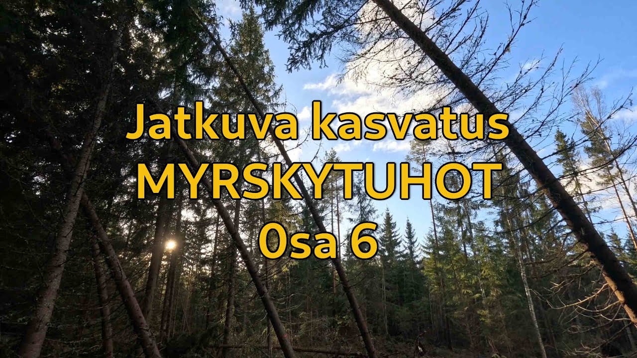 Jatkuva kasvatus, myrskytuhot, osa 6. | Continuous cover silviculture, part 6
