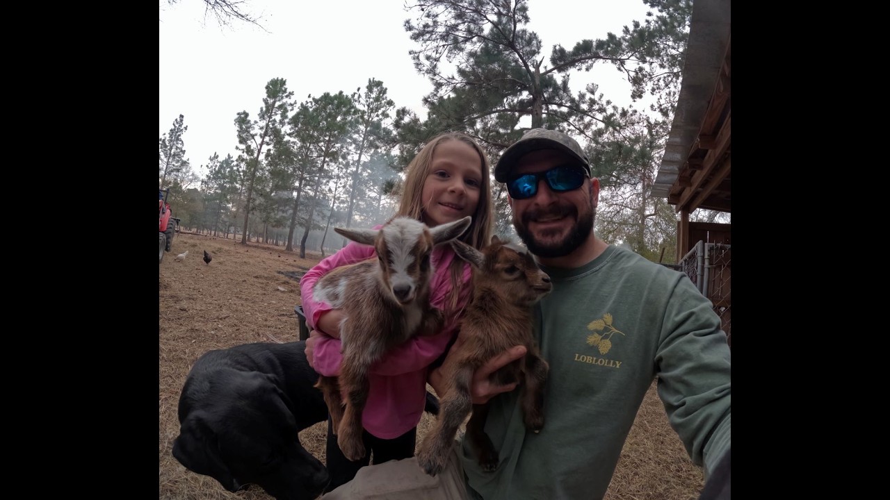 Quick Farm Update! More Baby Goats!