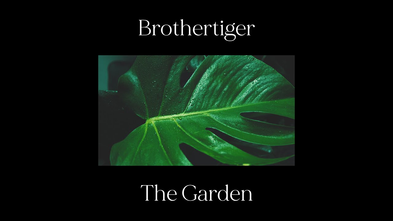 Brothertiger - 
