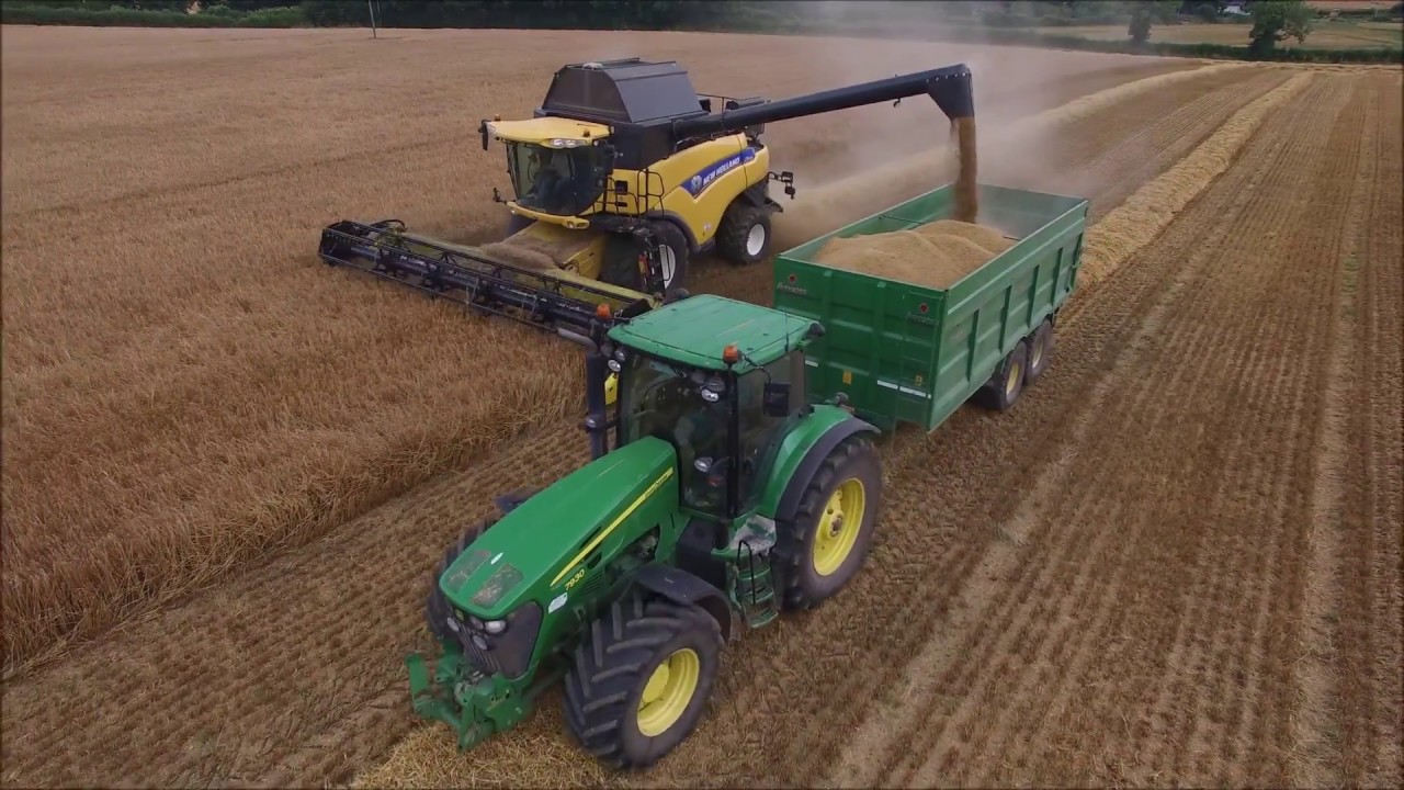 Harvest 2018