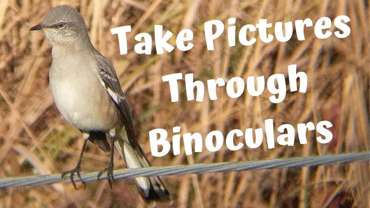 How to take photos and videos through binoculars