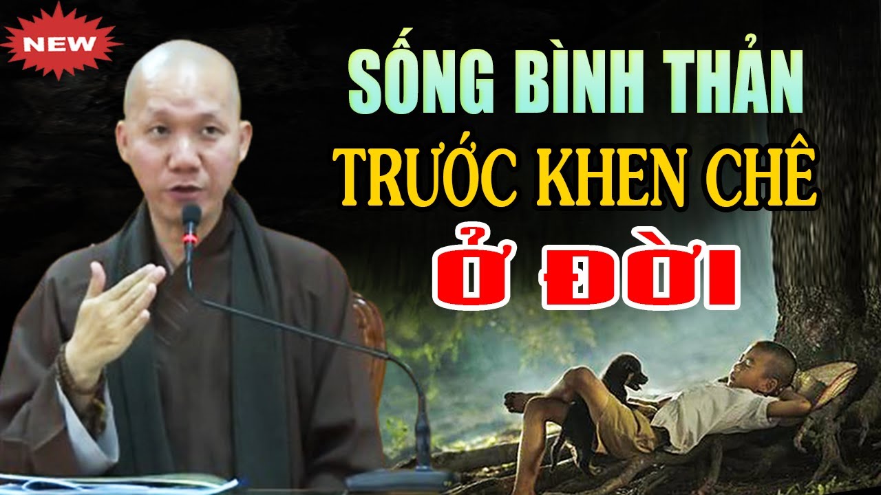 Tập Sống Bình Thản Trước Mọi Khen Chê Ở Đời | Thầy Thích Minh Thành