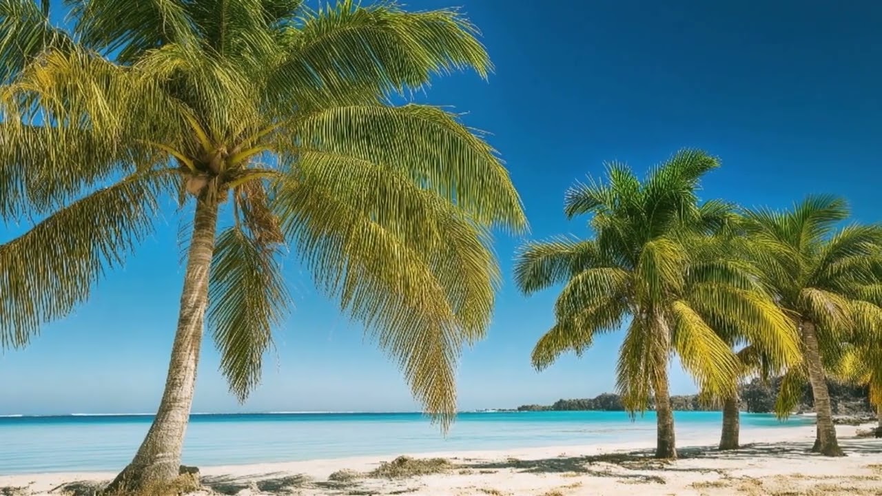 Lagoon Velvet Motion – Lovers Rock Instrumental Reggae | The Reggae Ocean 🌊