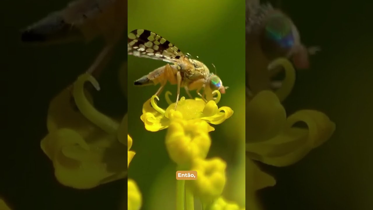 Quem resiste a uma boa aventura🤩