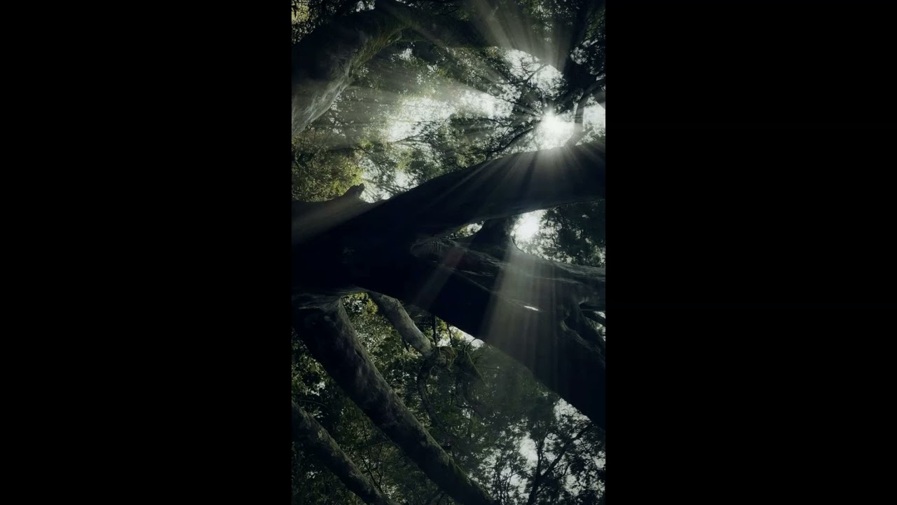 (free for profit) - *no drums* emotional ambient acoustic guitar instrumental 