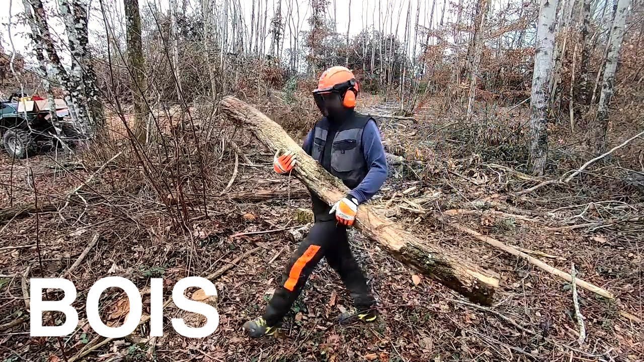 Du bois de chauffage et des piquets - 2022