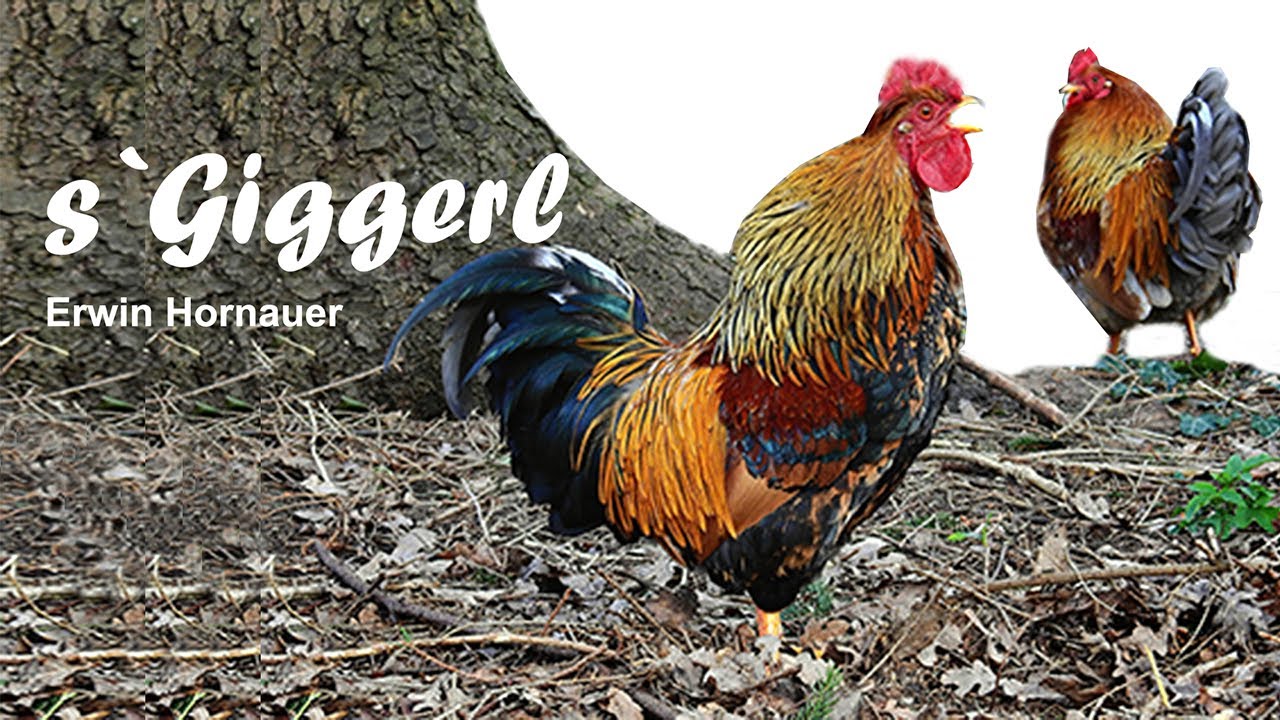 s`Giggerl - Erwin Hornauer