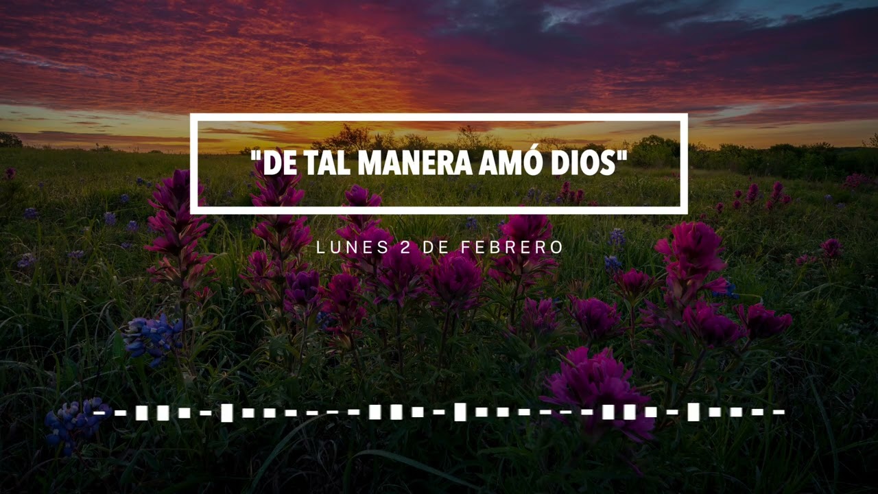 Lunes 2 de febrero: 