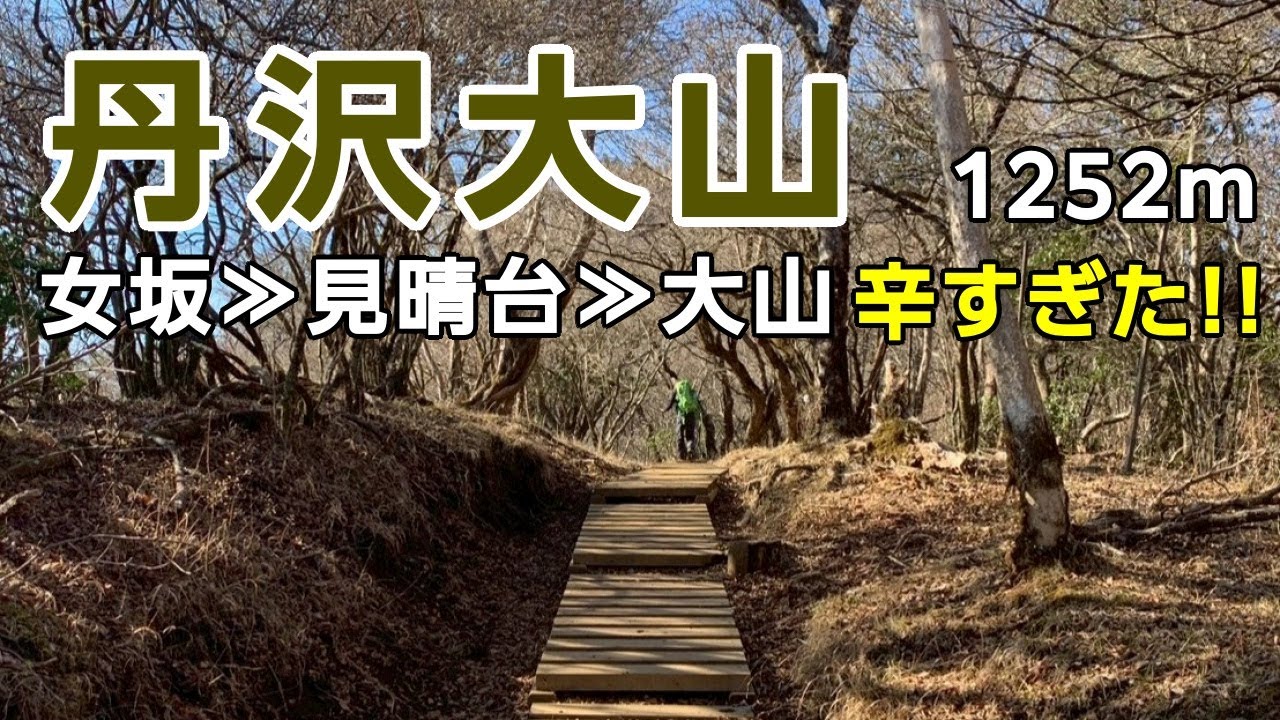 【丹沢大山】観光気分で行ったら、階段地獄で過酷過ぎた!!2025年12月
