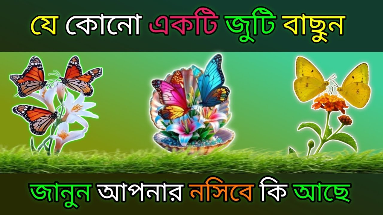 যে কোনো ১টি জুটি বাছুন জানুন আপনার নসিবে কি আছে?। bhago pariksha । apni kemon manush। ভাগ্যের পথ 