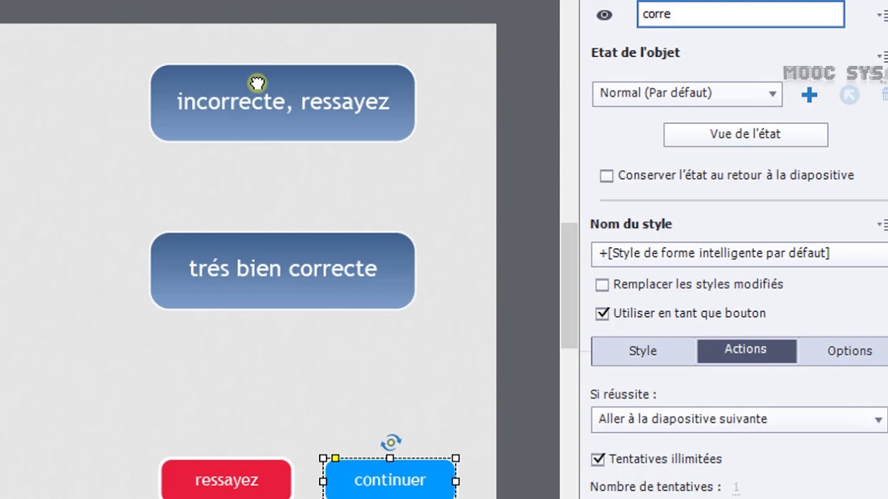 Adobe captivate, Choix multiples personnalisés