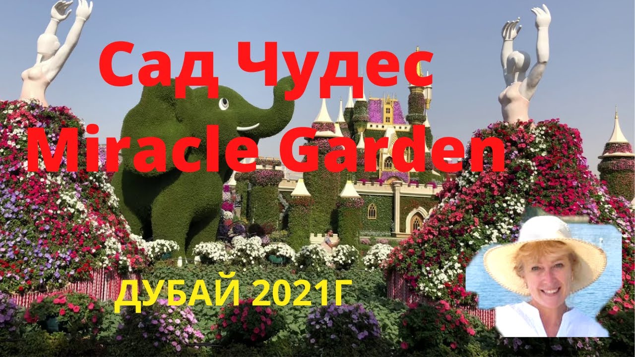#Парк цветов Miracle garden Dubai
