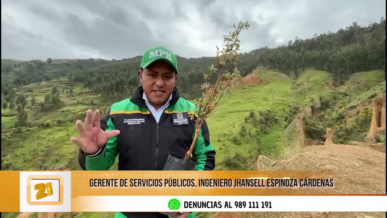 Realizan jornada de reforestación en Torre Torre