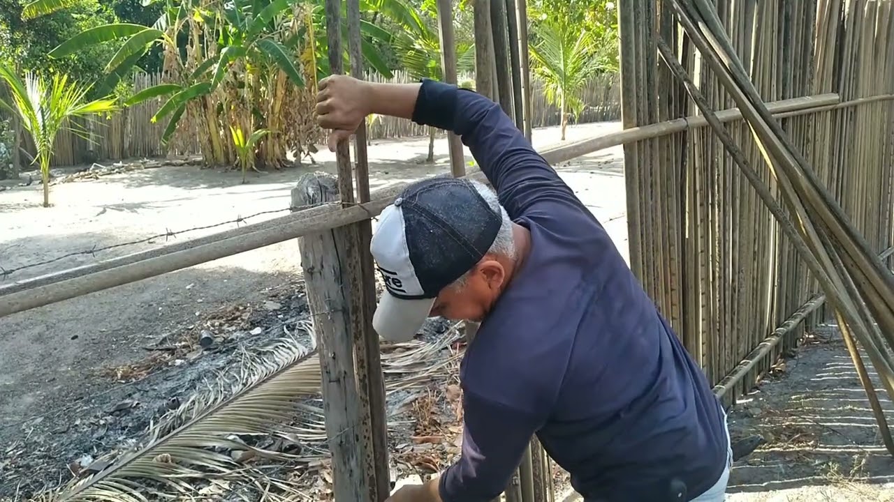 2 de outubro de 2025
