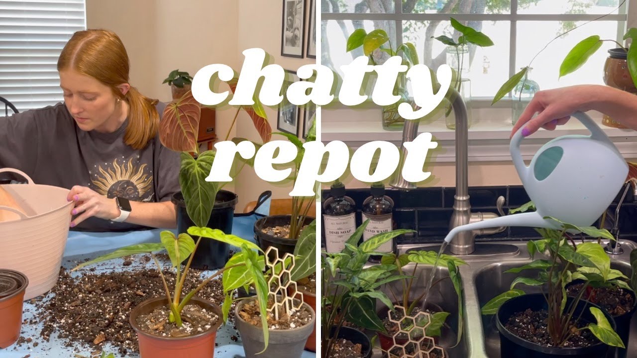 Repot With Me | chatty houseplant repot, life update, plant care