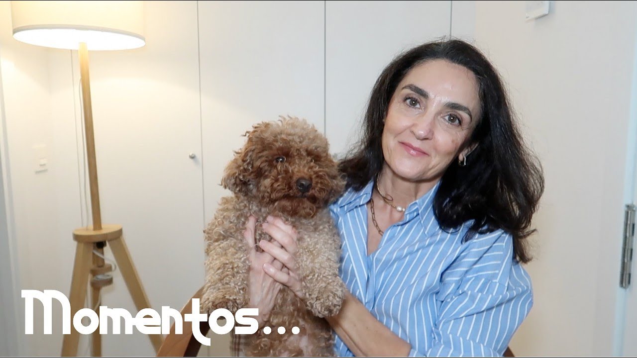 Vlog 25 / Zara Home y Primark Navidad / Cómo era Oddy de pequeñito? / Bizcocho saludable de calabaza