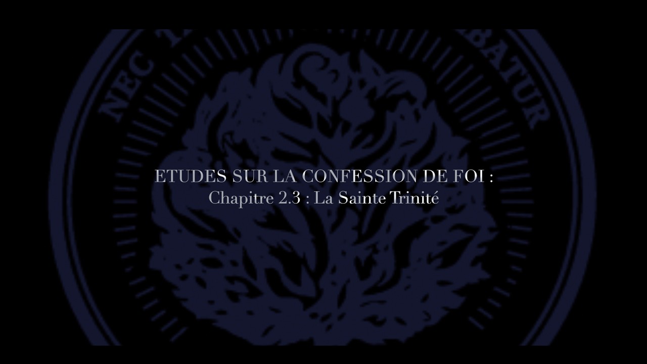 Études sur la confession de foi : Chapitre 2.3 : La Sainte Trinité