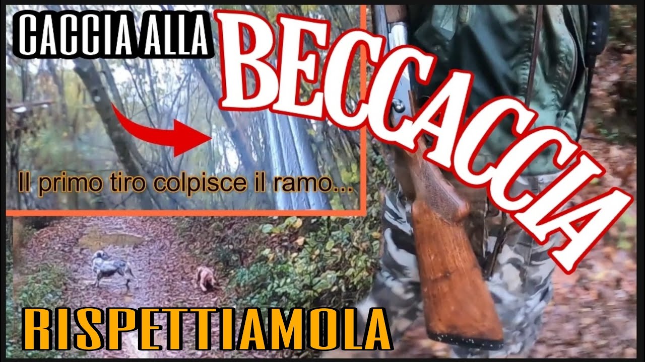 Caccia alla Beccaccia : Rispetto! Con Assunta la Setter e Benito il Breton - No alla posta  GoPro VS