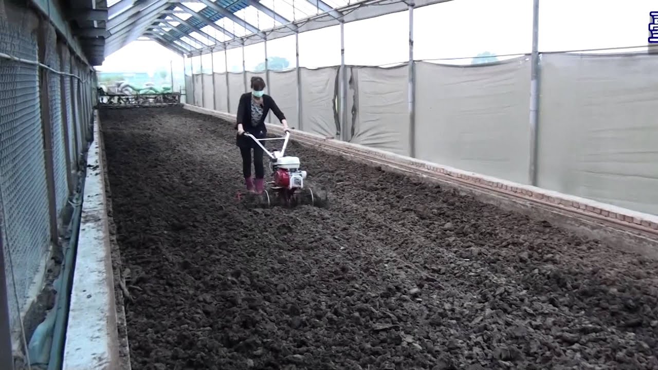 [台灣農機行] 600型無輪式中耕機