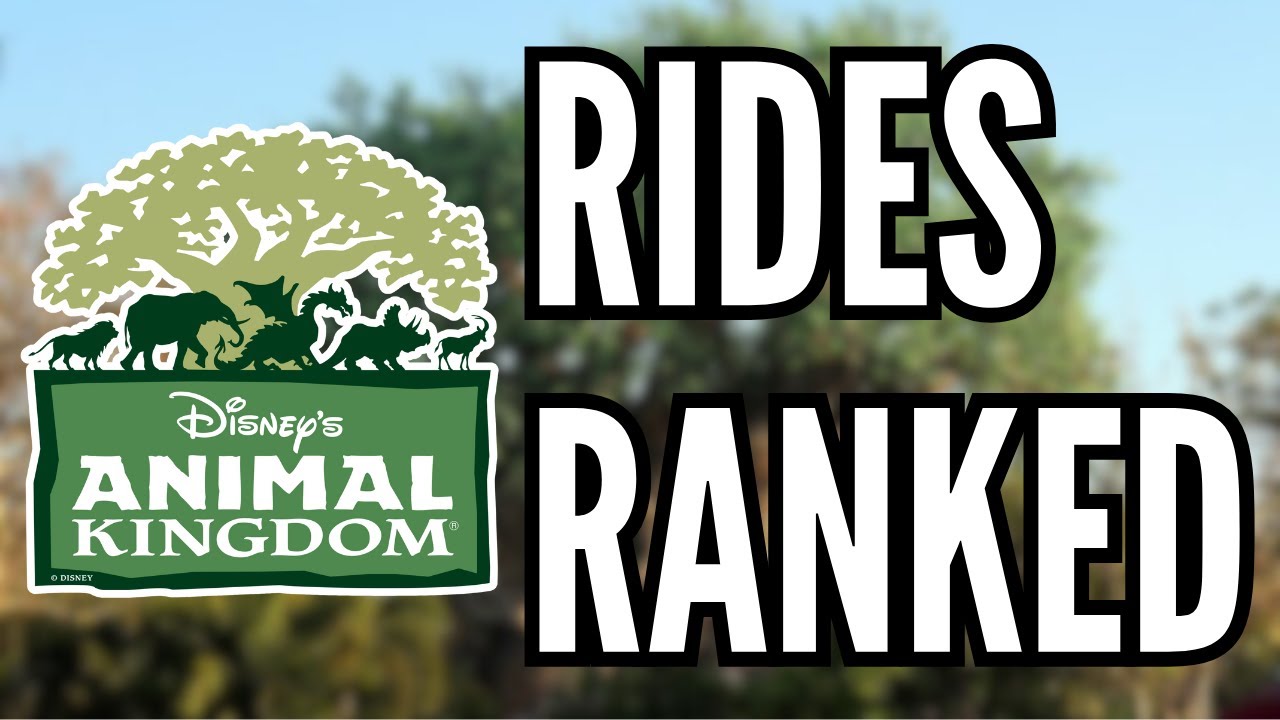 Ranking EVERY RIDE at Disney's Animal Kingdom!