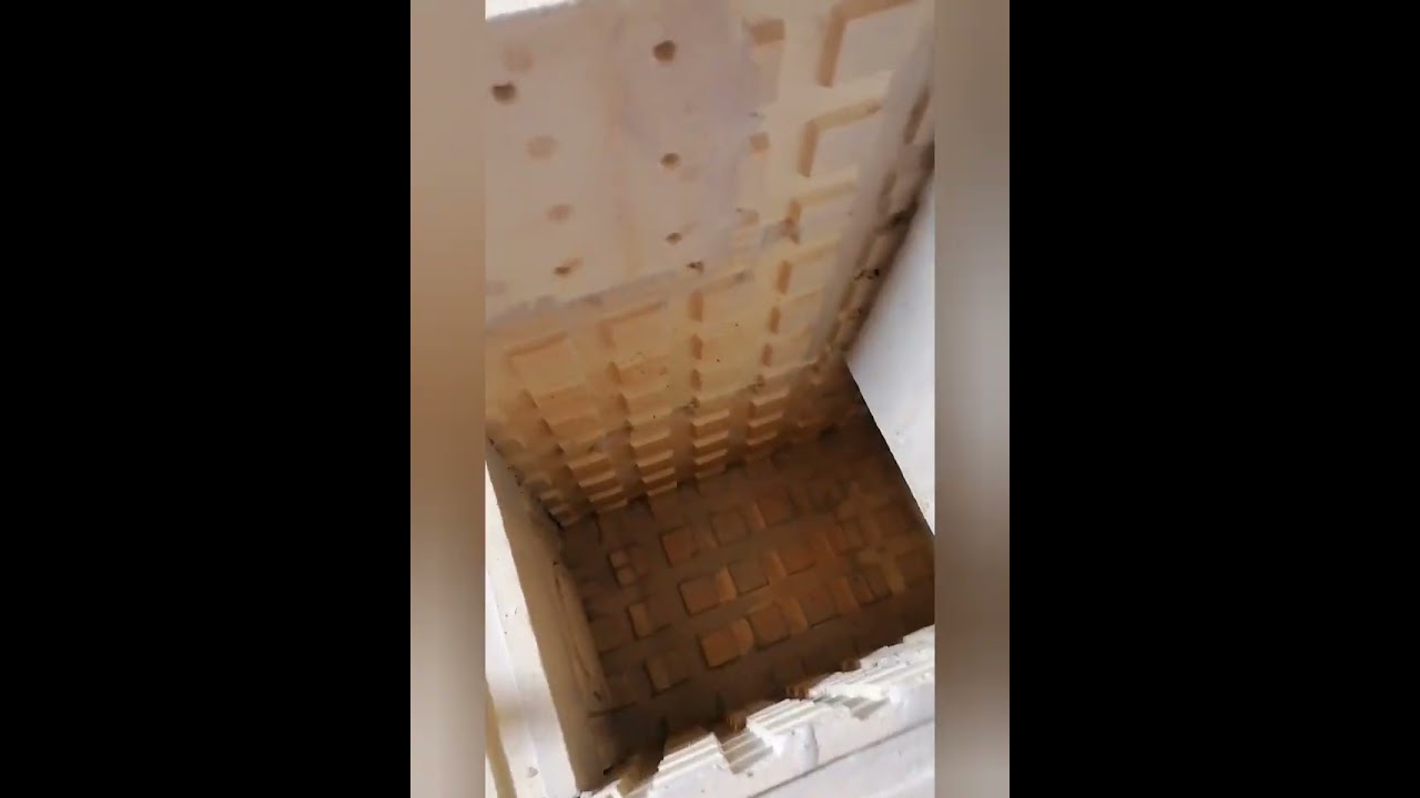 Grundofensanierung ORIGINAL Biofire