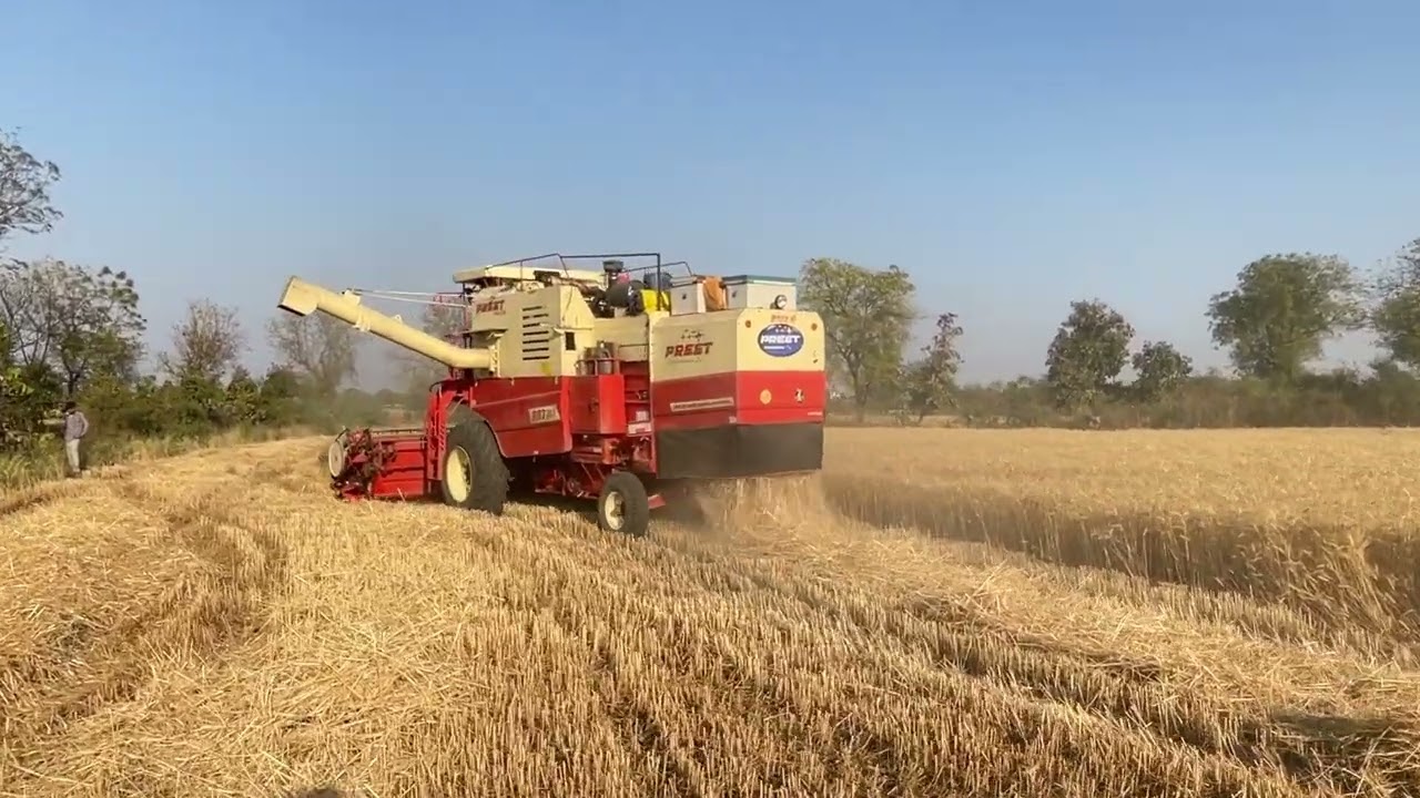 Gehu cutting Preet 987 combine harvester #trendingshorts #combinelover 
