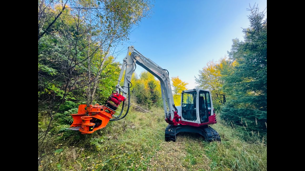 TAKEUCHI TB290-2 & WOODCRACKER CL260