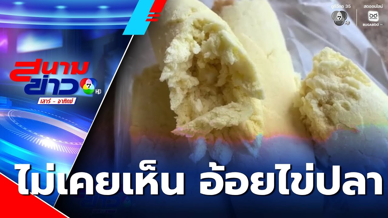 ไม่เคยเห็น อ้อยไข่ปลา ปลูกเจ้าแรกที่ จ.ตรัง | สนามข่าวเสาร์-อาทิตย์