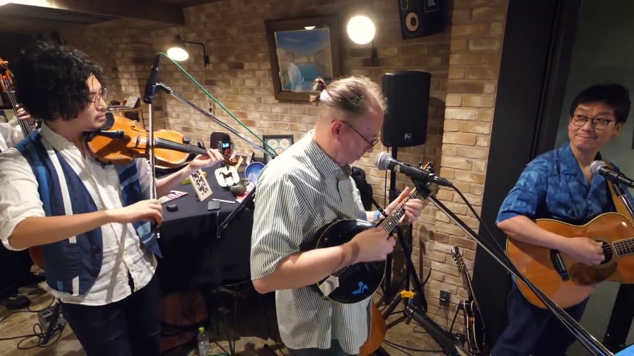 Fiddle Patch by Dale Potter