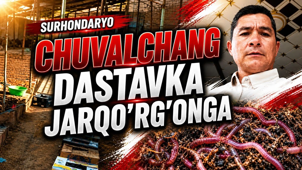 CHUVALCHANG DASTAVKA JARQOʻRGʻONGA/BIOGUMUS TAYYORLASH@biogumussurhondaryo8743
