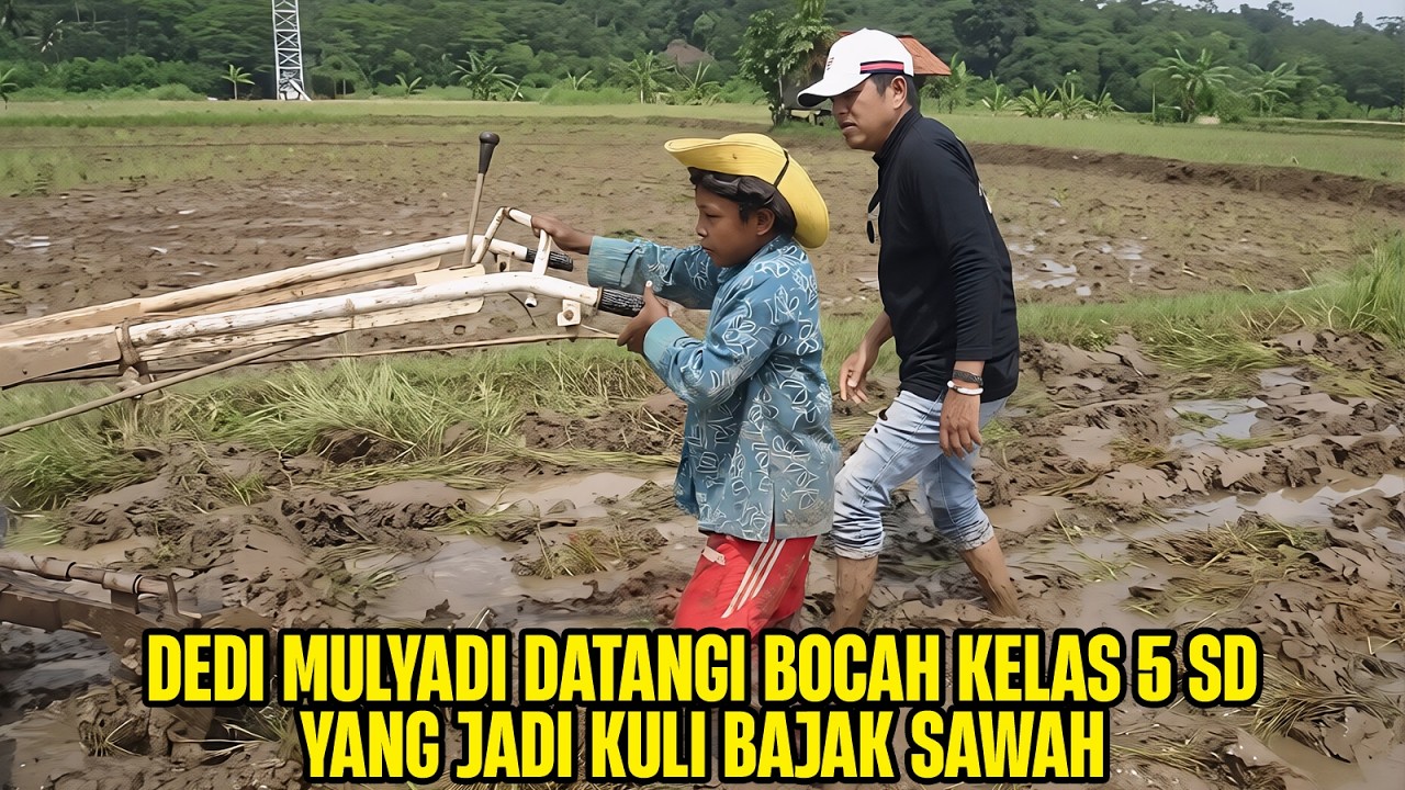 DEDI MULYADI DATANGI B0CAH KELAS 5 SD YANG JADI KULI BAJAK SAWAH