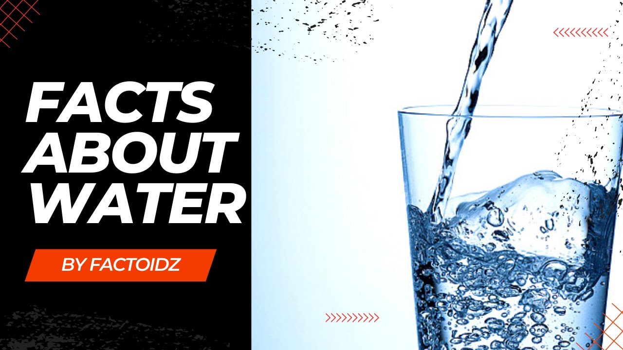 Top 30 Water Facts That Will Blow Your Mind Amazing Facts About Water | Factoidz