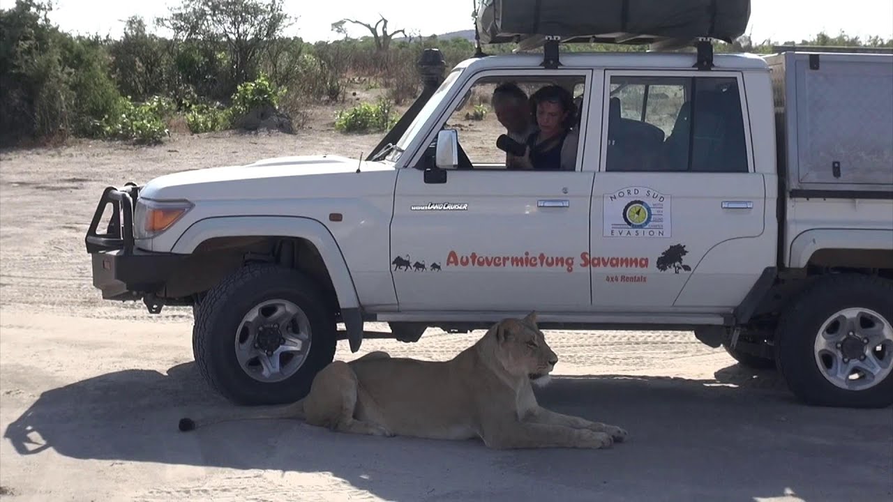 Raid 4x4 Okawango au Botswana avec NORD SUD EVASION (2017) / Gorgeous 4x4 Tour in the Okavango delta