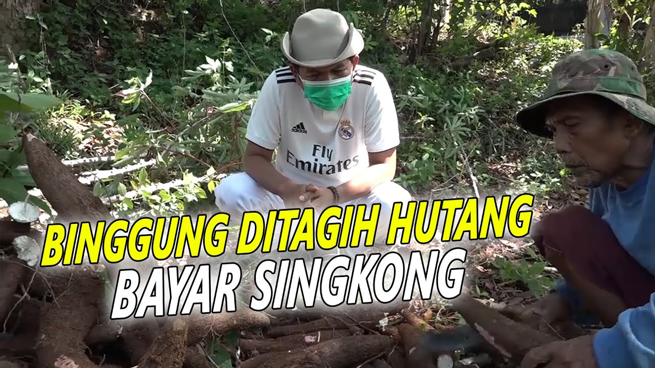 ISTRI GULA KRONIS - BAH DARTIM TAK MAMPU BAYAR SINGKONG BAHAN BAKU DAGANGANNYA