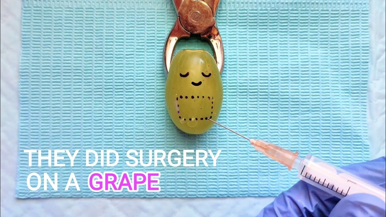 ASMR ~ Realistic Surgery On a Grape | Remove its gall bladder with stones
