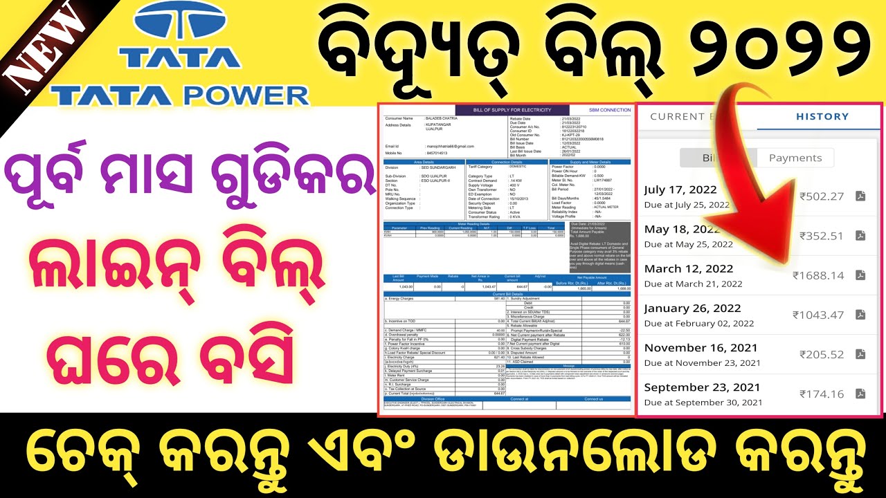 How to check previous month's electricity bill online odisha// Previous month's electricity bill
