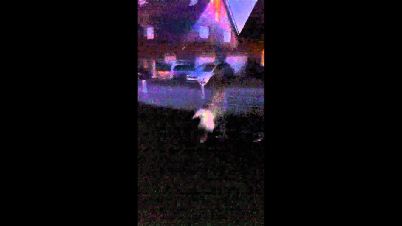 Sharon free running
