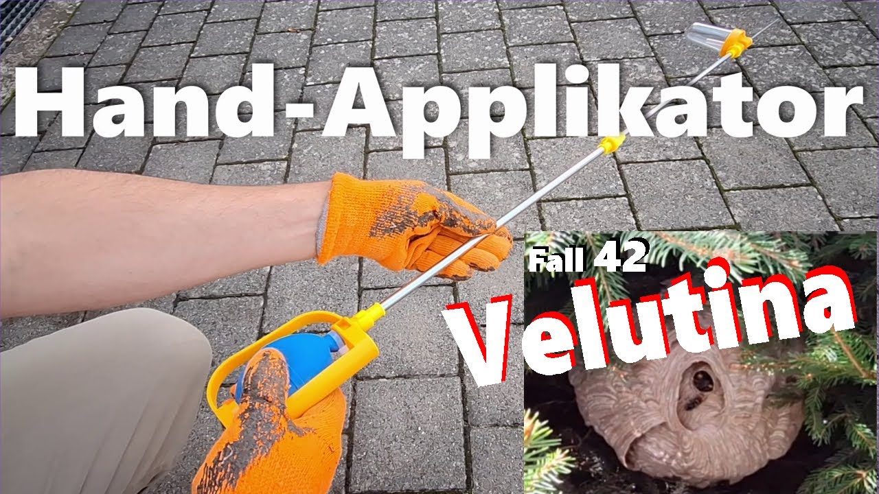 Velutina - Handapplikator - Eindämmung der Asiatischen Hornisse in 2024
