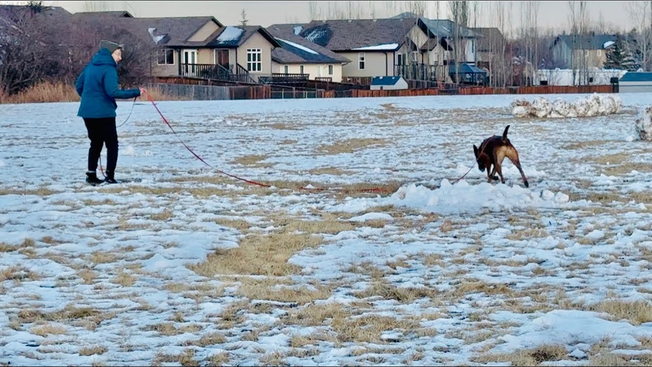 Max - November 22 double blind trail 