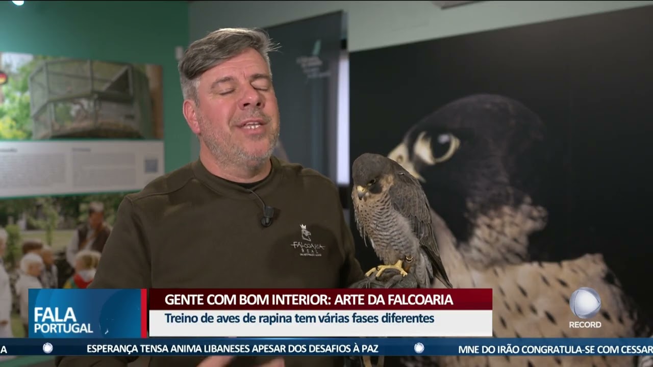 Gente com Bom Interior: Arte da Falcoaria