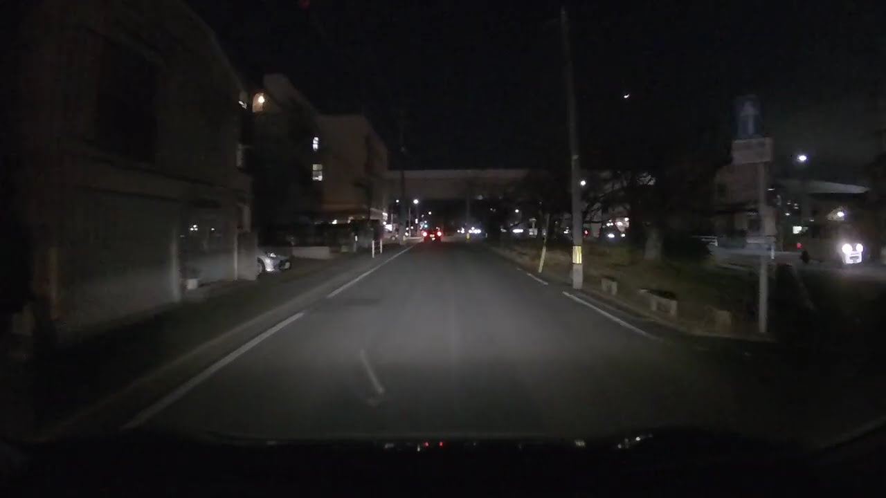 20260122　桜並木通りで逆走（その２）