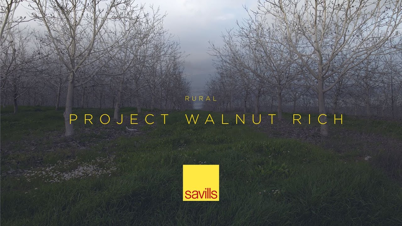 Savills Rural | Project Walnut Rich